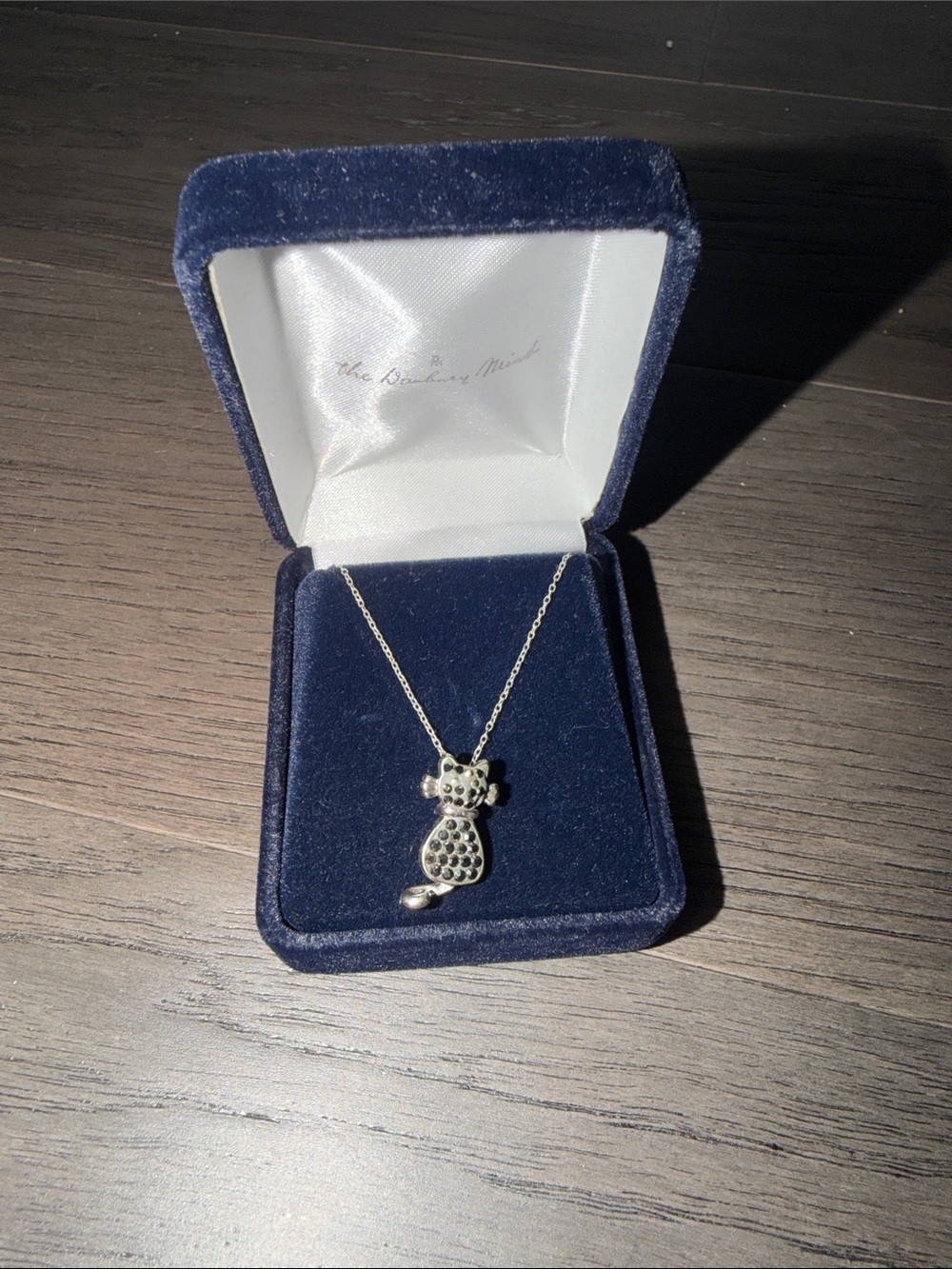 Silver Cat Pendant Necklace in Navy Velvet Box